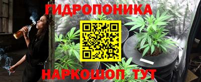 трава Балахна