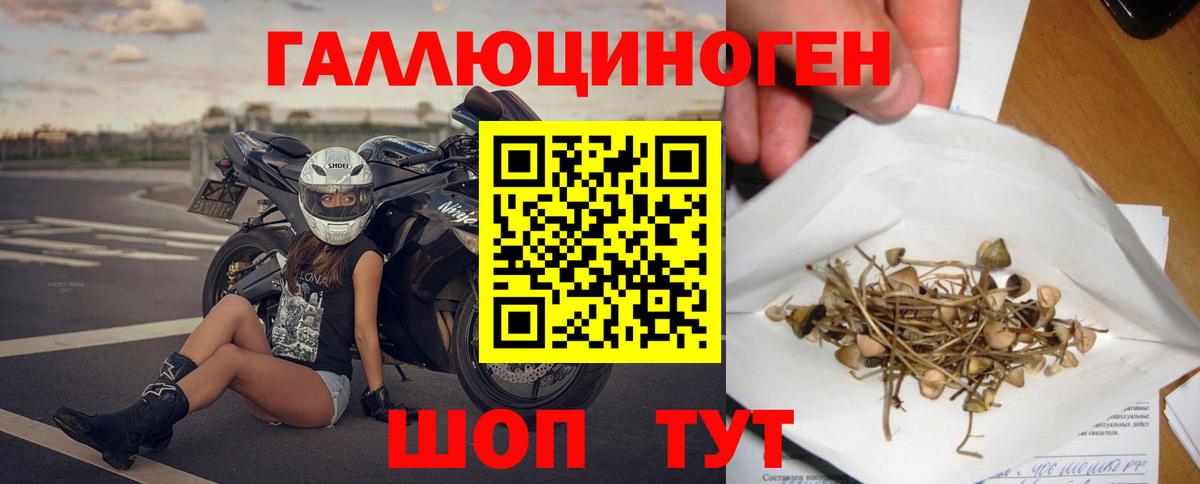 Псилоцибиновые грибы мицелий  Вход с VPN  Белогорск 